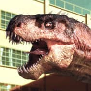 rio-rex-logo