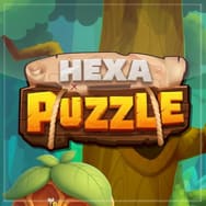 hexa-puzzlw