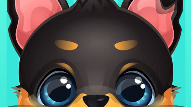 doc-honeyberry-puppy-surgery-logo