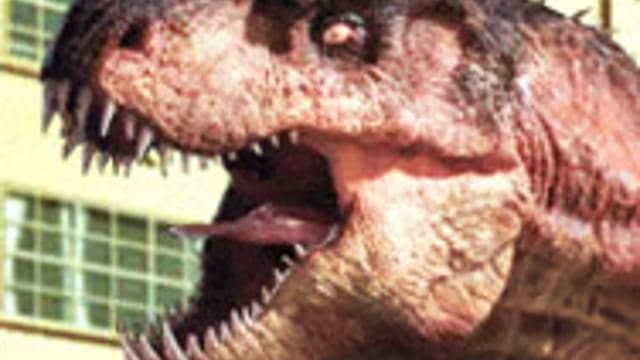 rio-rex-logo