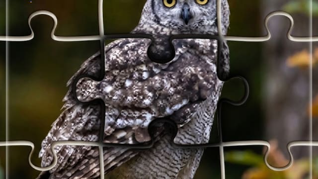 Jigshow_Puzzle