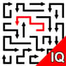 Arrow IQ