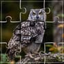 Jigshow_Puzzle
